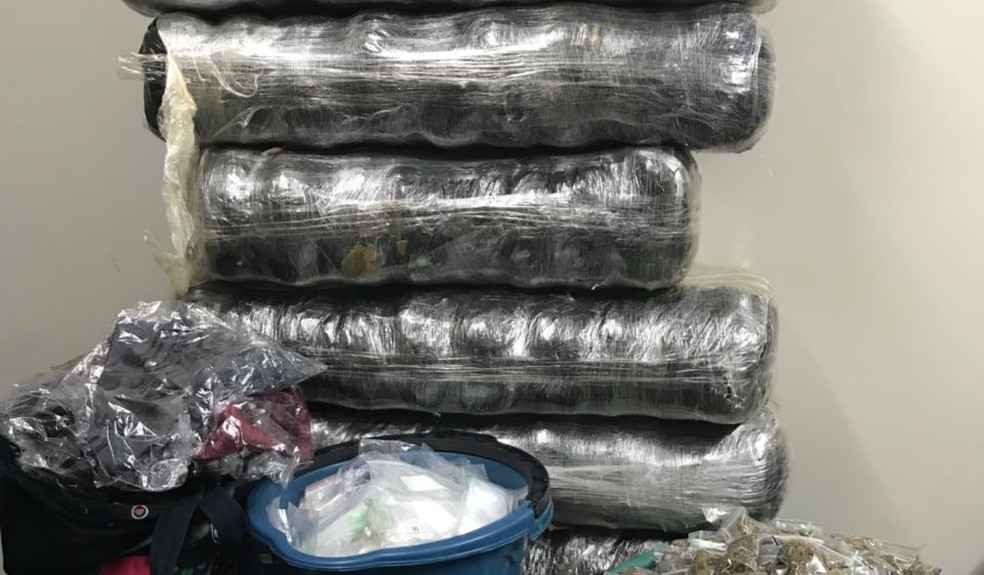 Os 60 quilos de maconha e dois quilos de crack estavam armazenados em um depósito na comunidade Vietnã, na Zona Oeste do Recife (Foto: Polícia Civil/Divulgação)