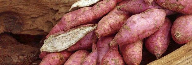 Excelente para a alimentação, a batata doce deve estar inserida numa dieta variada (Foto: Think Stock)