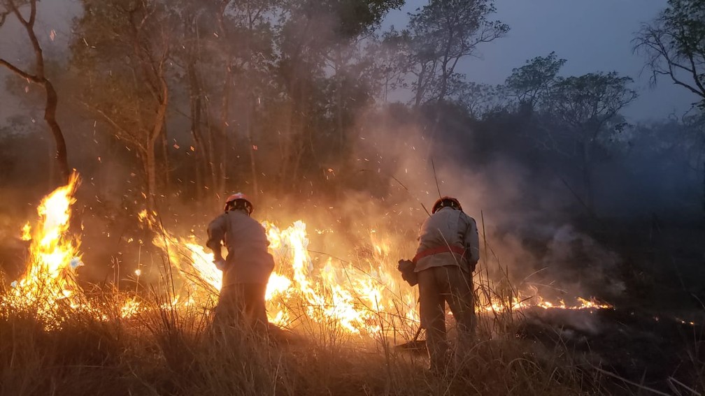 Chamas avançam em áreas de mata no Pantanal — Foto: João Paulo Gonçalves/Corpo de Bombeiros - MT