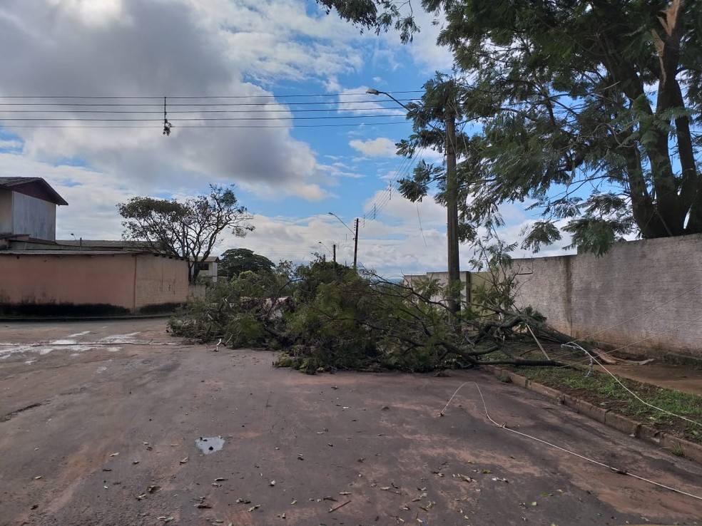 Estragos causados pela chuva foram registrados em Teodoro Sampaio — Foto: Heloise Hamada/TV Fronteira