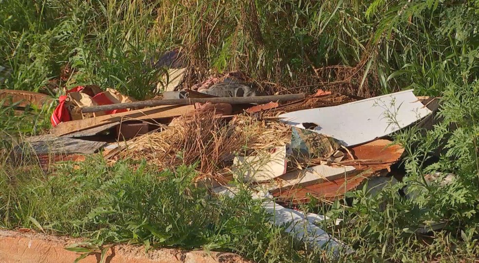MinistÃ©rio da SaÃºde alerta sobre risco de surto de dengue, zika e chikungunya na regiÃ£o de Itapetininga â€” Foto: ReproduÃ§Ã£o/TV TEM
