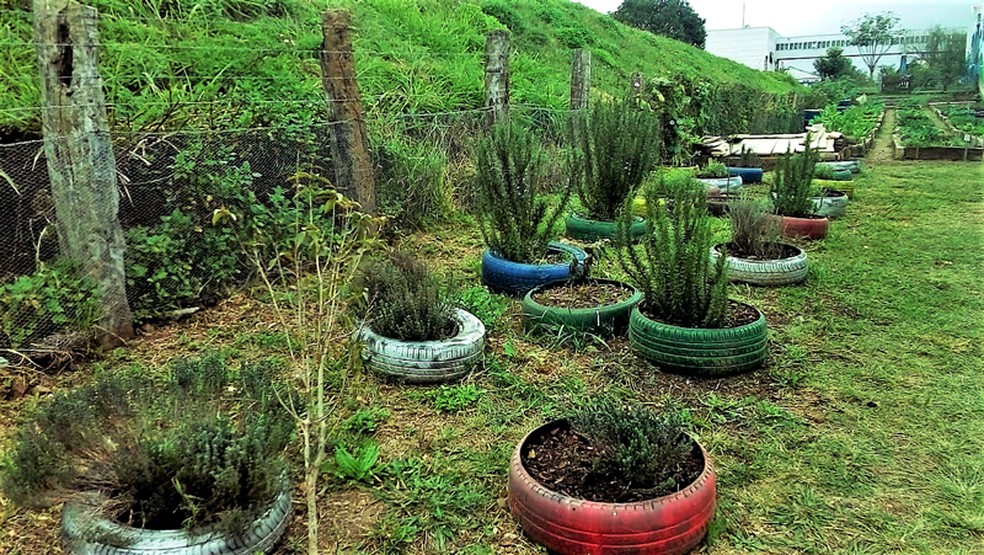 A horta comunitária situada no bairro Cajuru, em Curitiba, foi inaugurada no mês de julho de 2017 (Foto: Manoel Silva)
