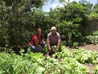 Projeto em distrito de Miraí incentiva cultivo de hortas no quintal de casa 