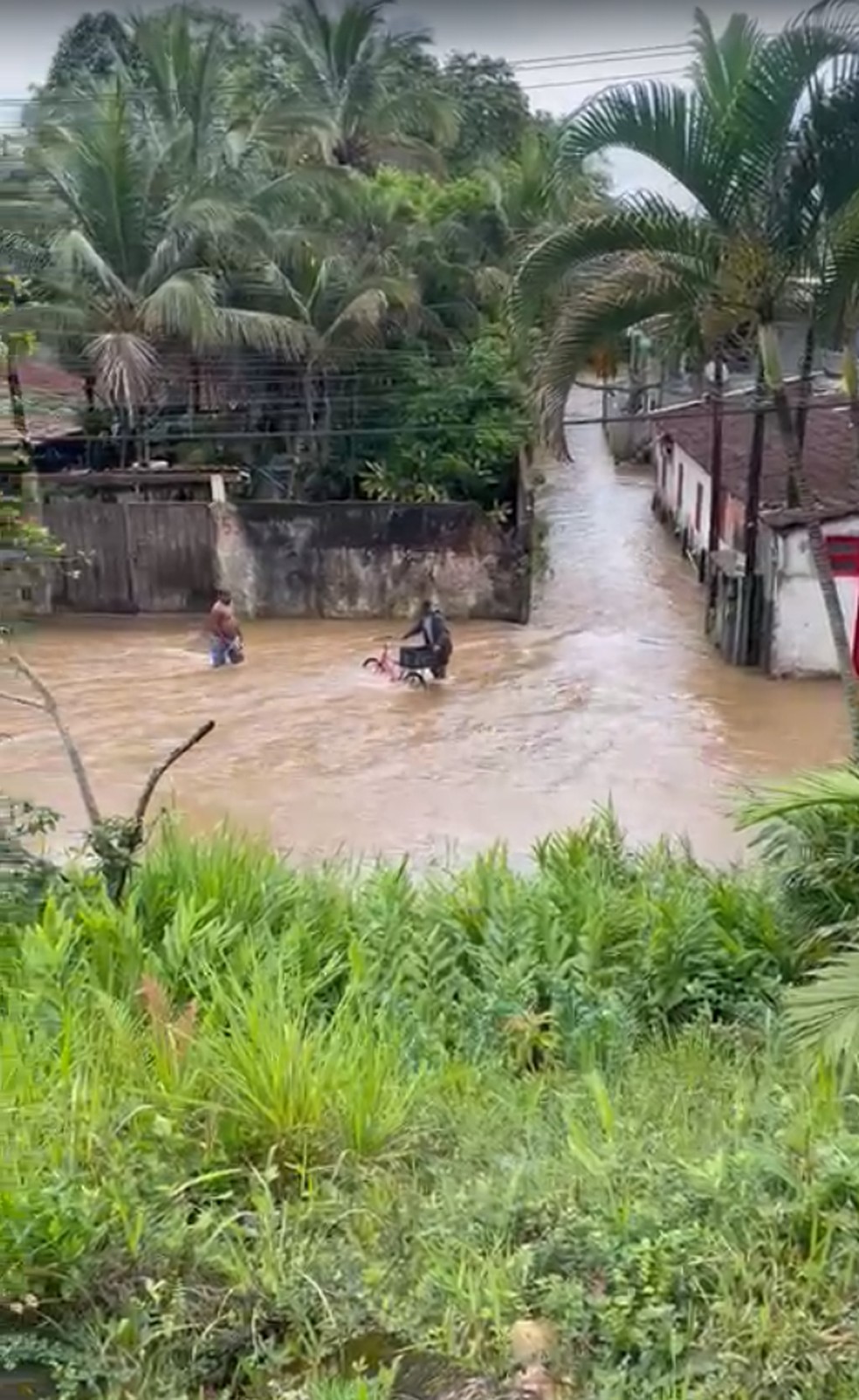 Imagem mostra ruas do bairro Camburi alagadas em São Sebastião. — Foto: Arquivo pessoal