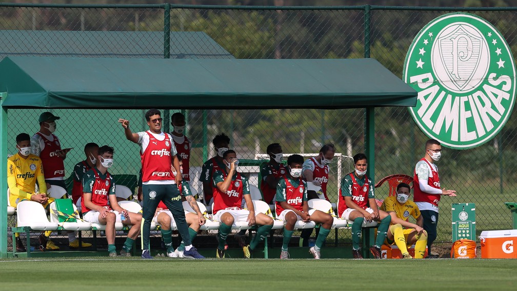 Palmeiras do futuro: clube tem processo de renovação na base e trabalha por novas apostas