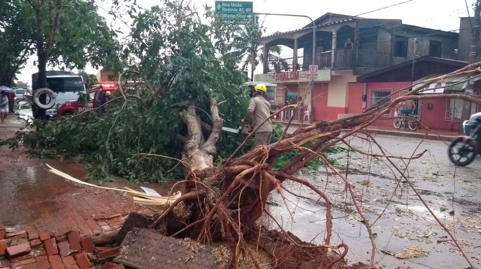 Árvores caíram no meio da via no bairro da Sobral e foram retiradas pelos Bombeiros (Foto: Luan Cesar/G1 )