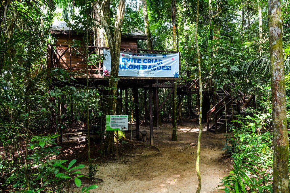 Trilha no Bioparque da Amazônia — Foto: PMM/Divulgação