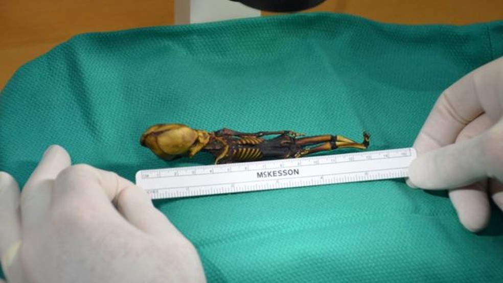 A múmia chamada de Ata tem 10 pares de costelas, em vez de 12; especulou-se que poderia ser o esqueleto de um extraterrestre (Foto: Emery Smith)