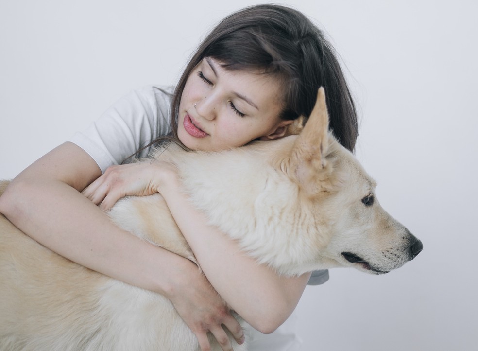 O contato físico excessivo (como beijos e abraços, por exemplo) não faz parte do repertório natural de comunicação dos cachorros — Foto: Unsplash/ Sasha Sashina/ Creative Commons