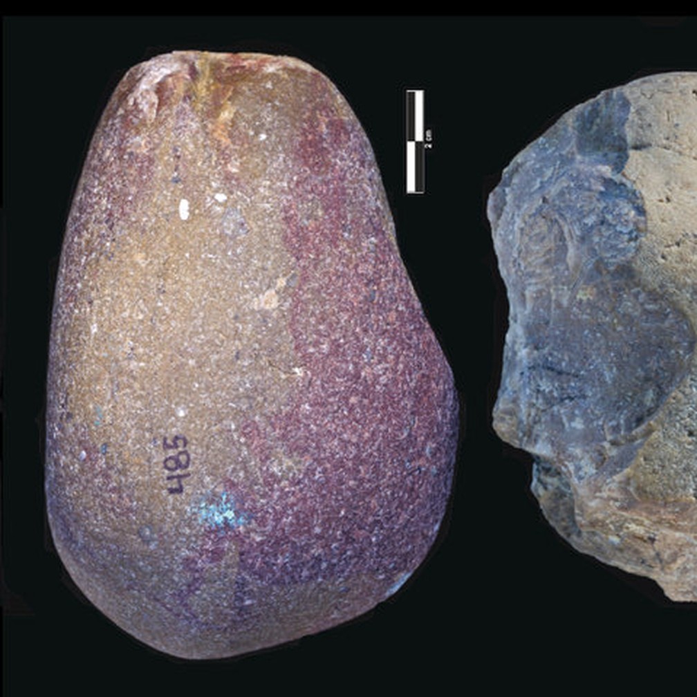 Da esquerda para direita: uma ferramenta percussiva encontrada em 2016, um núcleo Olduvaiense encontrado em 2017 e flocos Olduvaienses encontrados em 2016 e 2017. Sítio de Nyayanga no sudoeste do Quênia. — Foto: T.W. Plummer, J.S. Oliver, E. M. Finestone/Homa Peninsula Paleoanthropology Project via AP