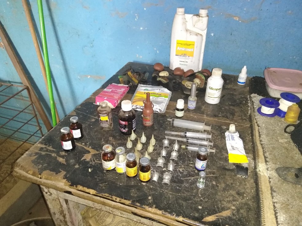 Apetrechos foram apreendidos em imóvel em Bernardino de Campos (SP) — Foto: Polícia Militar Ambiental/Divulgação