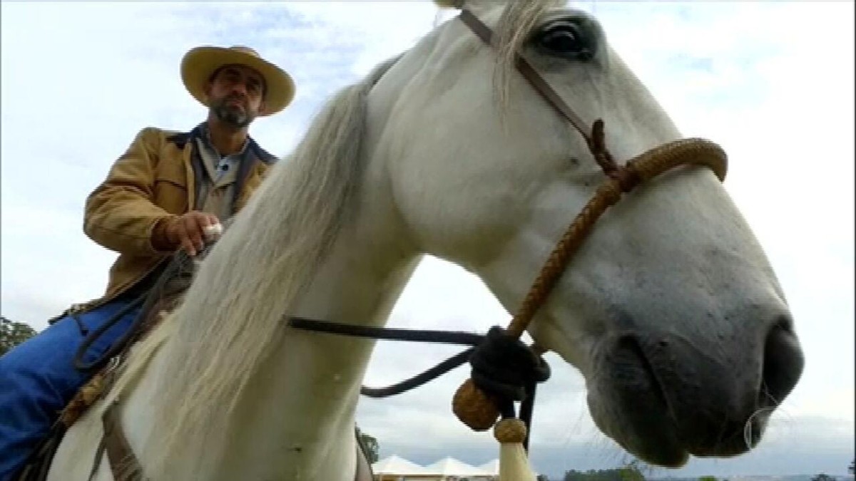 Especialista ensina técnica para conduzir cavalos com mais suavidade thumbnail
