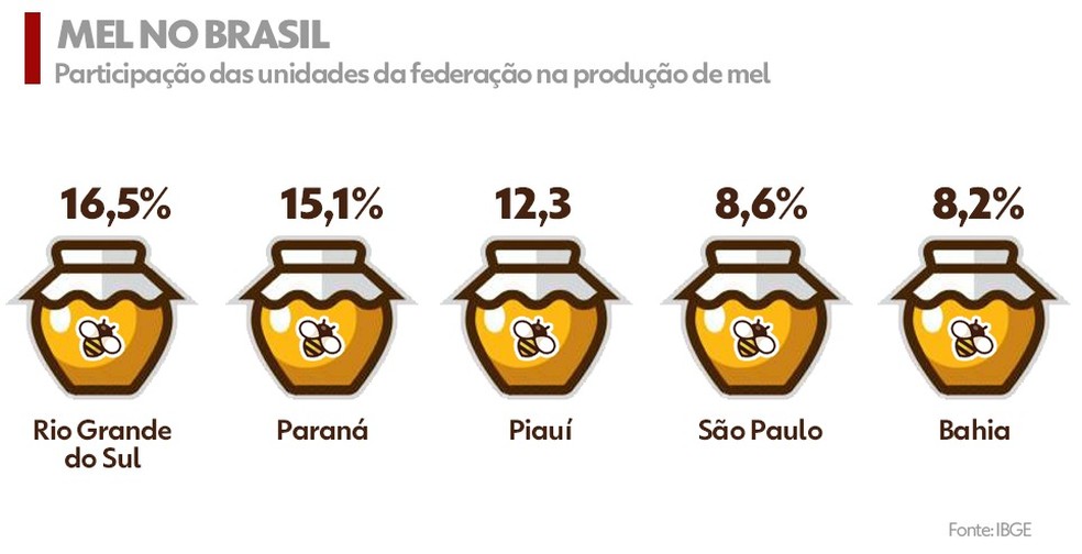 Maiores produtores de mel no país  — Foto: g1 Piauí 