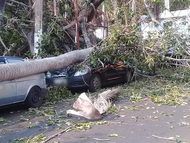 Árvores caem e atingem carros no centro de São Manuel 