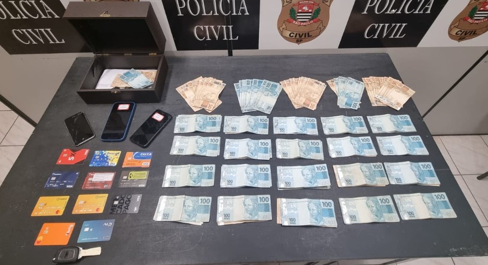 Operação Per Saltum é realizada contra organização criminosa responsável por ataques cibernéticos — Foto: Polícia Civil
