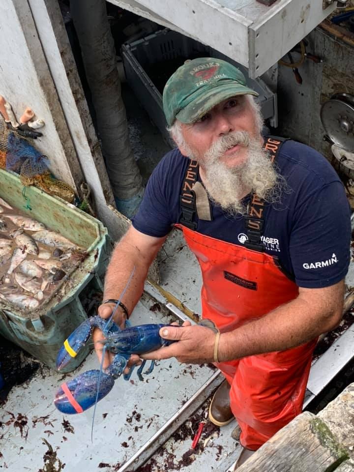 Homem pesca lagosta azul raríssima e a devolve ao oceano (Foto: Reprodução/Facebook)
