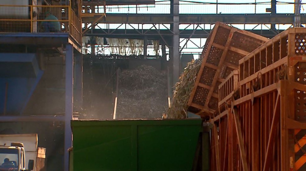 Carretas descarregam cana-de-açúcar em usina na região de Ribeirão Preto (Foto: Paulo Souza/EPTV/Arquivo)
