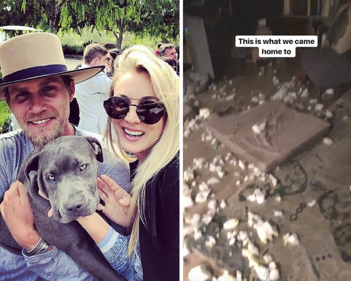 A atriz Kaley Cuoco com o marido e a pit bull Blueberry e a destruição deixada pela cachorrinha no quarto do casal (Foto: Instagram)