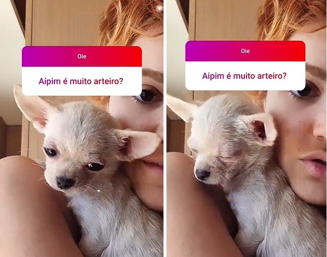 Manu Gavassi mostra Aipim, seu ccãozinho de estimação (Foto: Reprodução/Instagram)