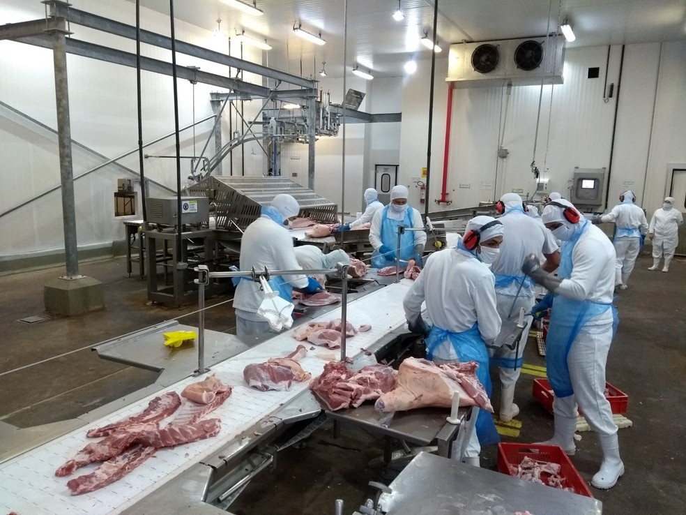 Dom Porquita vai se habilitar para exporta carne de porco para os países andinos e da Ásia  — Foto: Arquivo pessoal 