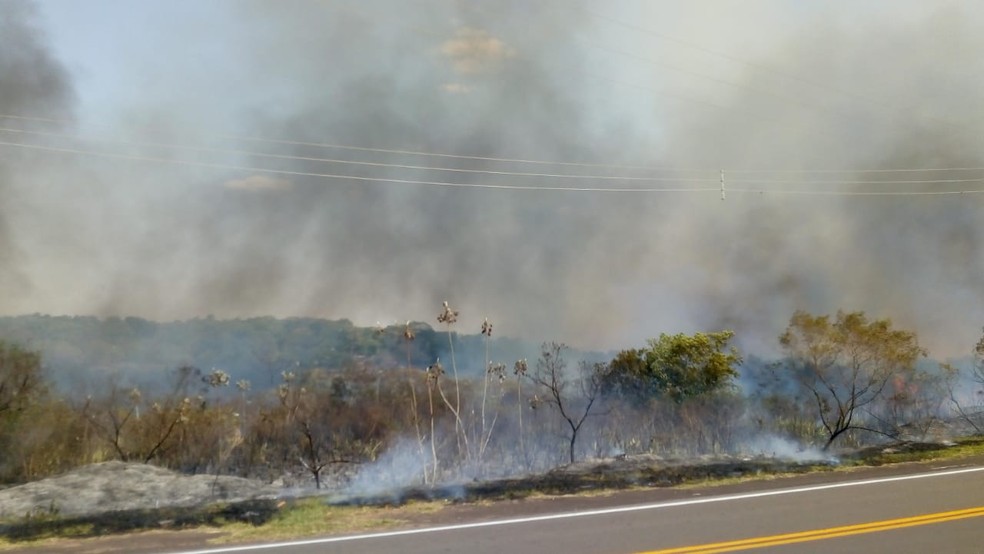 Incêndio atingiu área de vegetação no Balneário Laranja Doce, em Martinópolis — Foto: Compdec