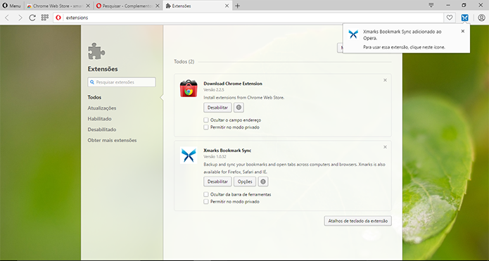 Extensão do Chrome funcionará normalmente no Opera após a instalação (Foto: Reprodução/Elson de Souza)