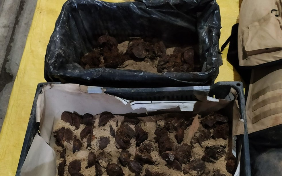Sinalizadores foram recolhidos pelo Gate em Jundiaí — Foto: Arquivo pessoal