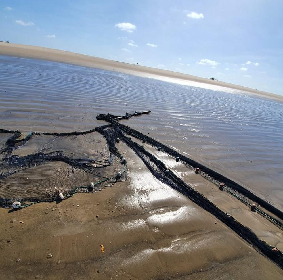 PF apreende redes de pesca ilegais na área de proteção do Delta do Parnaíba — Foto: Divulgação/Polícia Federal