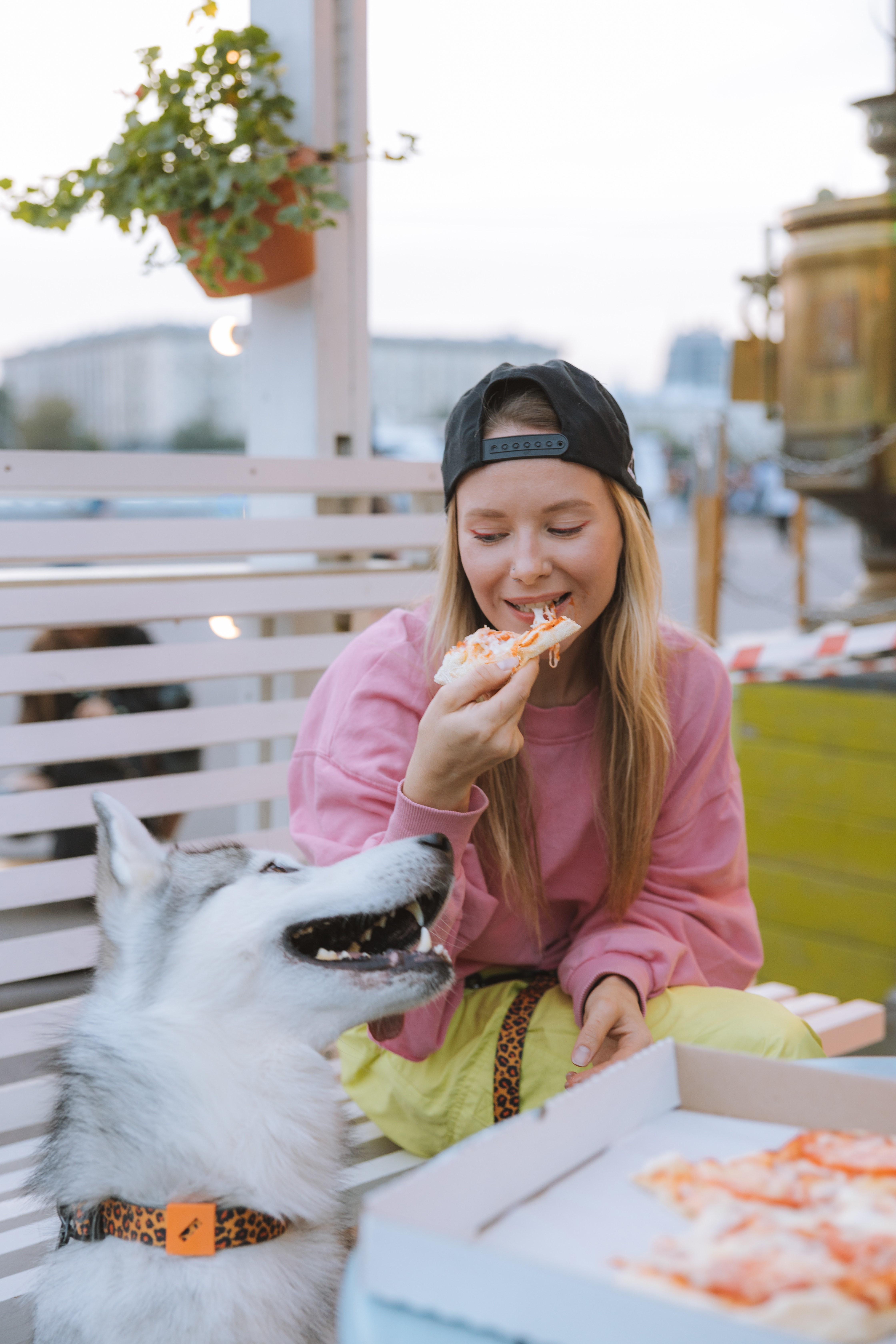 A conclusão é que os cães não devem, em nenhuma circunstância comer pizza, de nenhum sabor. (Foto: pexels/yaroslav-shuraev/CreativeCommons)