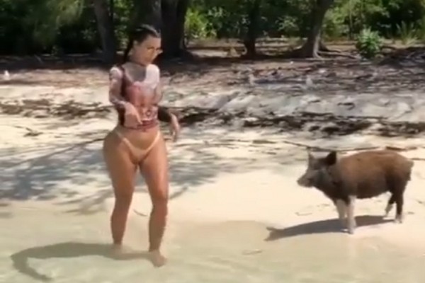 Kim Kardashian brinca com porcos no Caribe (Foto: Instagram)