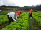 FAO cita Brasil como candidato a futuro maior exportador de alimentos