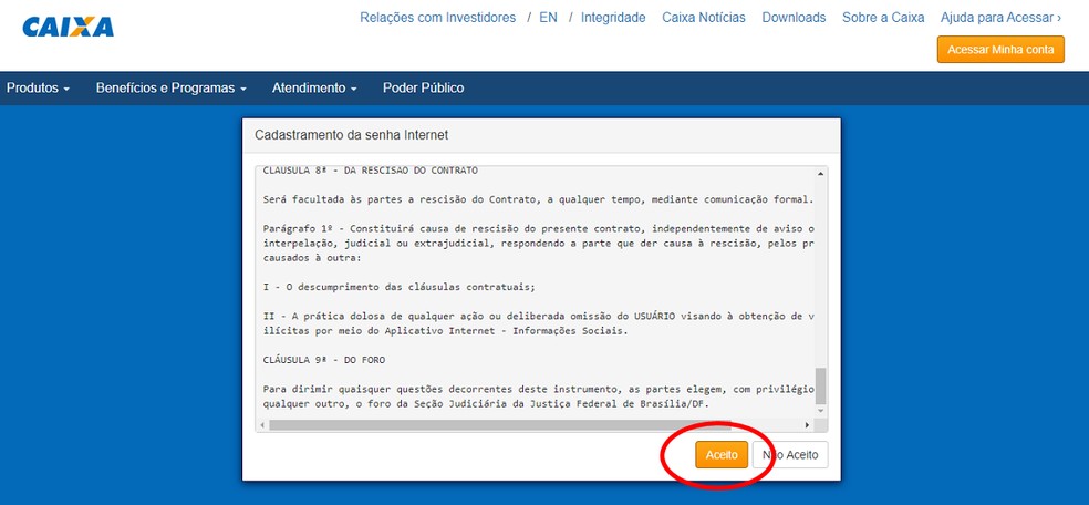 Aceite os termos da cadastro digital para prosseguir com o cadastramento da senha — Foto: Reprodução/Barbara Ablas