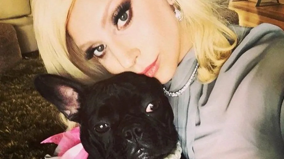 Lady Gaga e um de seus cachorros