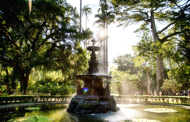 Fountain in Botanical Garden, Rio de Janeiro, Brazil (Foto: Getty Images)
