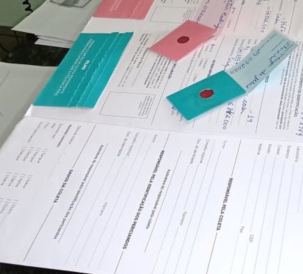 Teste de DNA deu positivo, segundo Neuza — Foto: Arquivo Pessoal 