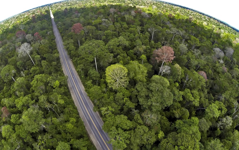 Imagem aérea mostra a rodovia cortando reserva de Mata Atlântica (Foto: Leonardo Merçon/ Últimos Refúgios)