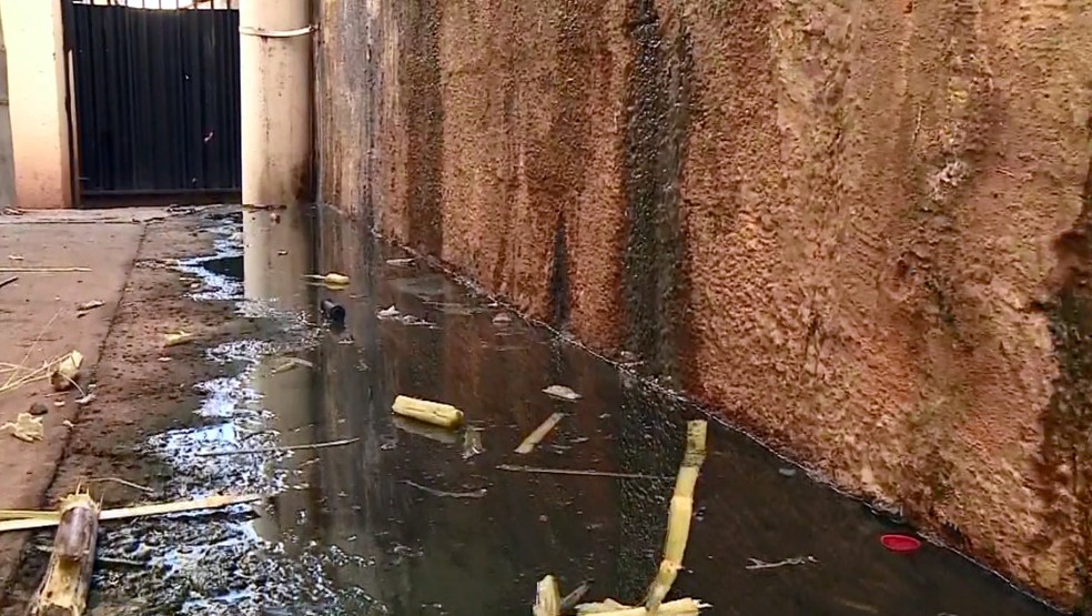 Esgoto e mau cheiro incomodam moradores em Araras (Foto: Ronaldo Oliveira/EPTV)