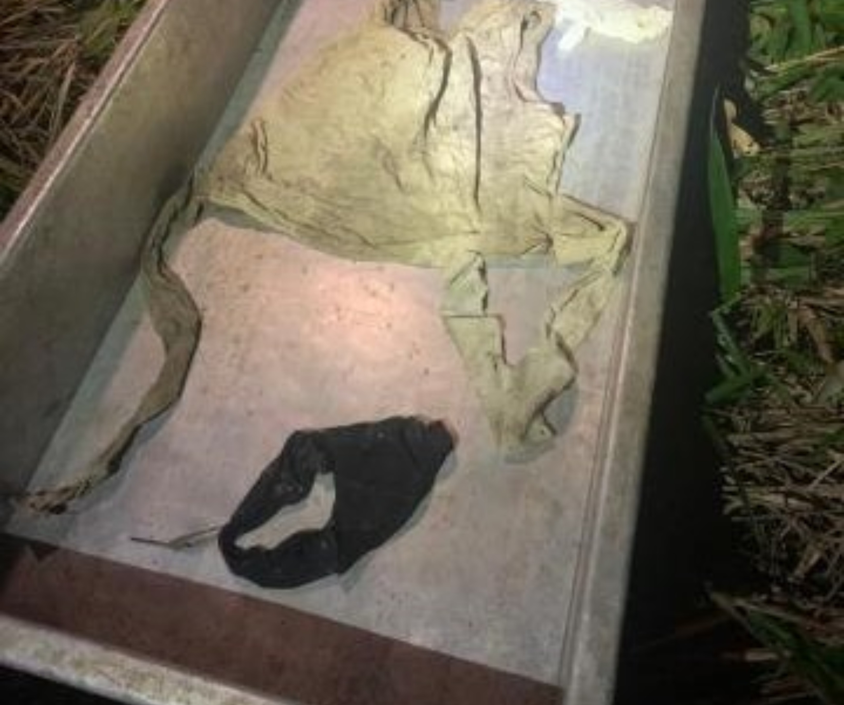 Morte da ex-nora do líder Yanomami Davi Kopenawa: o que se sabe e o que falta saber