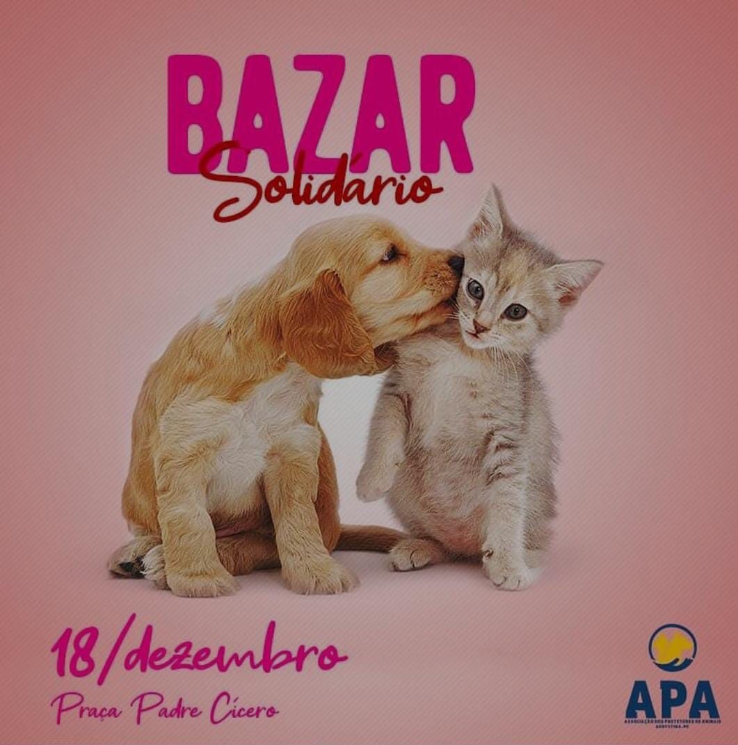 Organização realiza bazar solidário em prol dos animais em situação de rua, em Agrestina