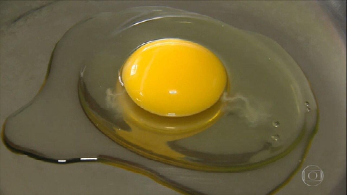 Produção de ovos orgânicos tem diversas regras; conheça thumbnail