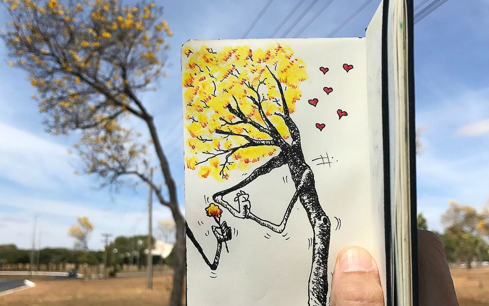 Arte de Toninho de Souza está à venda na exposição 'Arte que salva', em Brasília — Foto: Toninho de Souza/Divulgação