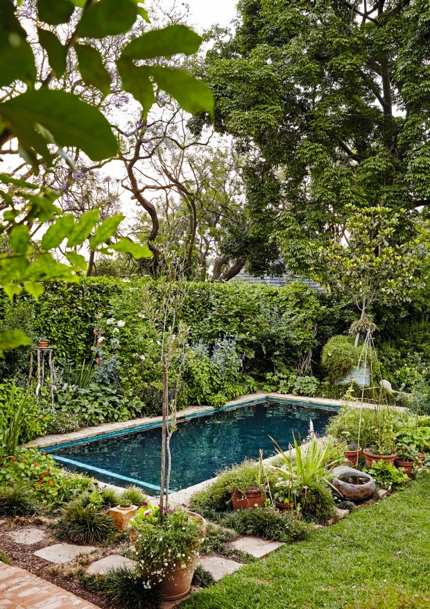 A casa em Joanesburgo, África do Sul, tem piscina envolta em vegetação (Foto: Greg Cox / Bureaux)