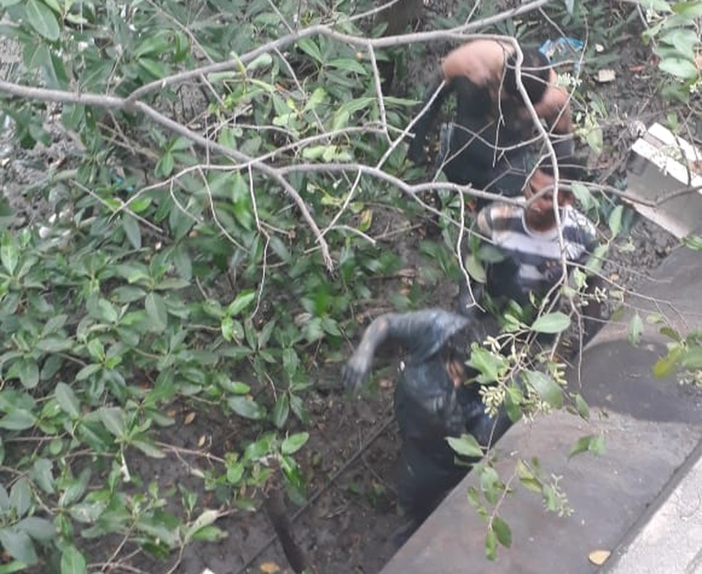 Sarah Catarine Maia Ferreira foi resgatada por JosÃ© Ribamar, que abriu a porta do carro e a retirou da Ã¡gua â Foto: ReproduÃ§Ã£o/TV Mirante