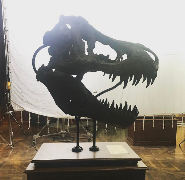 A foto feita por Chris Pratt no set de 'Jurassic World 2' (Foto: Instagram)