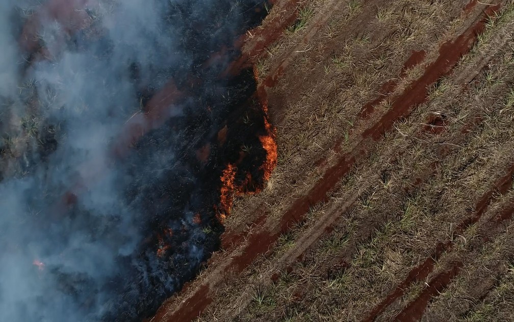 Queimada em canavial no Anel Viário Norte em Ribeirão Preto, SP — Foto: Marcelo Moraes/EPTV