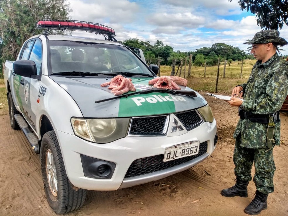 Mais de 10 quilos de carne de jacaré foram apreendidos em Rosana — Foto: Polícia Militar Ambiental