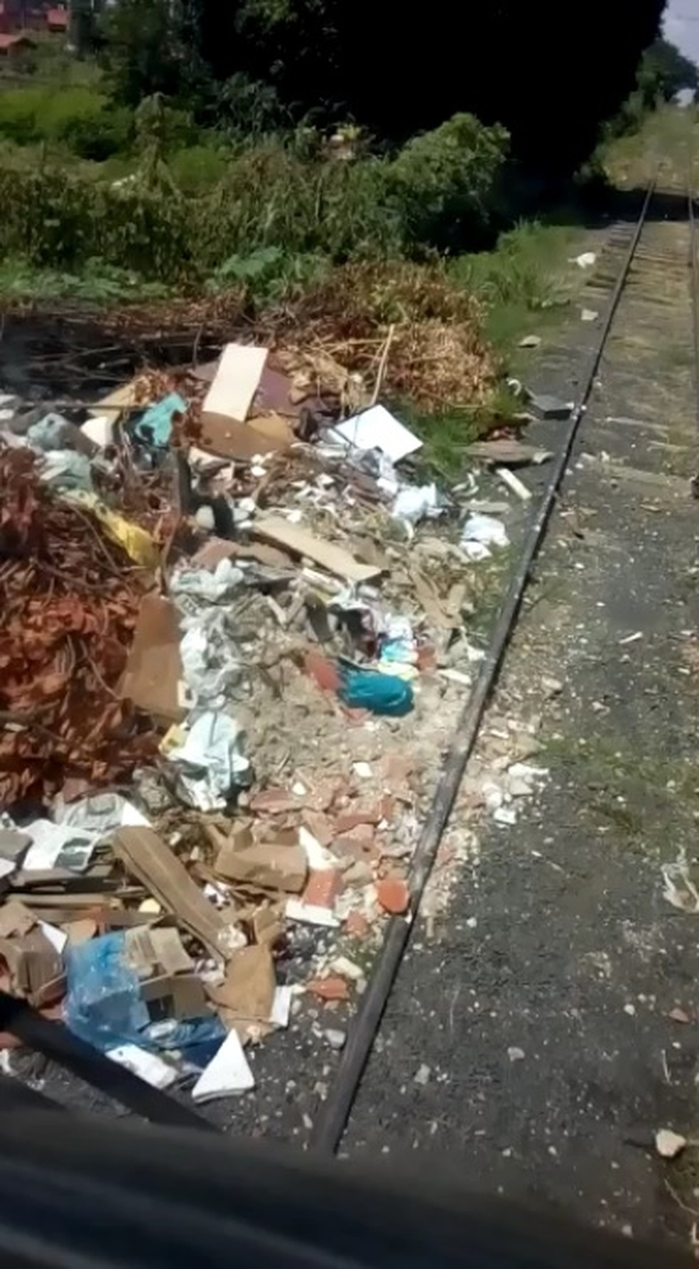 Lixo encontrado próximo a linha do Metrô de Teresina — Foto: Divulgação/CMPT