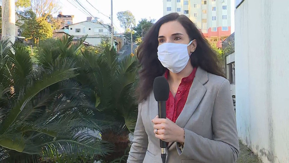 Professora da UFMG fala sobre eficácia de desinfetantes — Foto: Reprodução/TV Globo