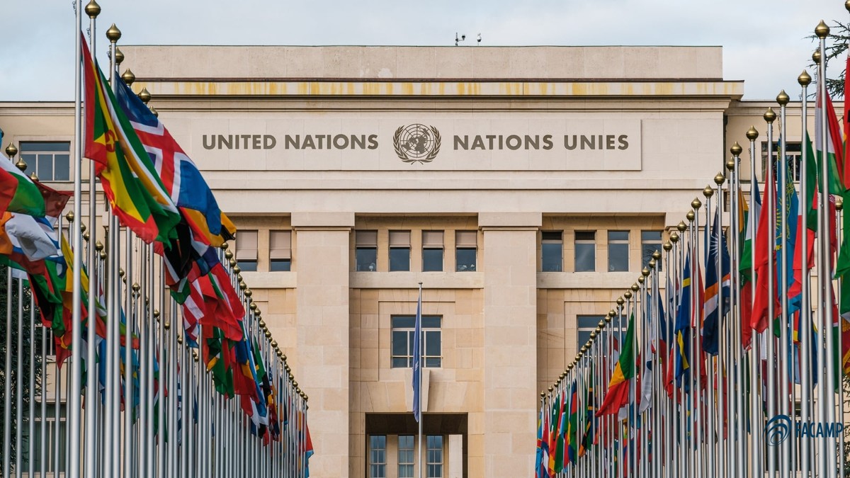 Simulação da ONU, realizada pela FACAMP, é única com certificado WIMUN