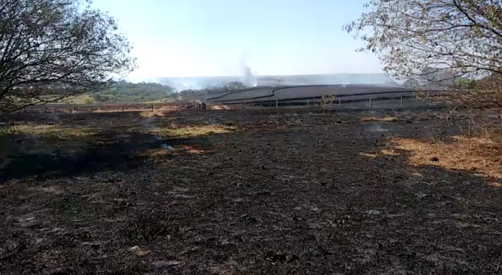 Fogo se alastrou rapidamente (Foto: Arquivo Pessoal)